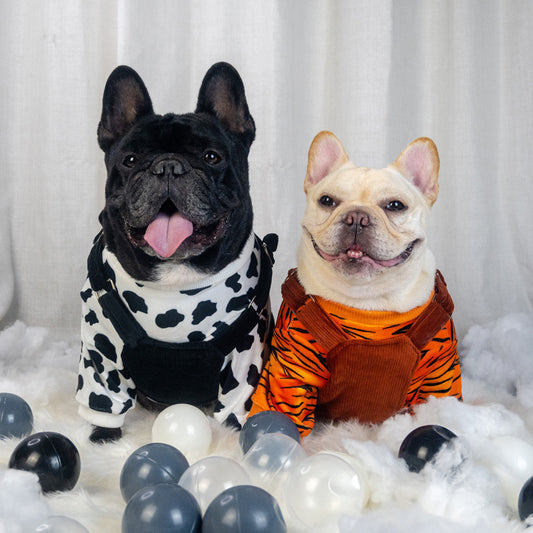 Two Piece Dog Clothes Warm Autumn And Winter Clothes